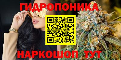jwh Новокубанск