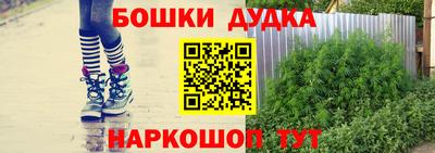 ПСИЛОЦИБИНОВЫЕ ГРИБЫ Новозыбков