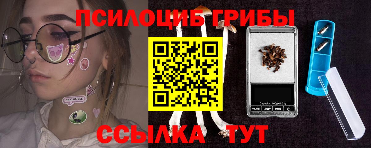 Тимашёвск  Галлюциногенные грибы GOLDEN TEACHER  Вход с VPN 